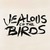 Jealous Of The Birds