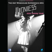 The Amy Winehouse Experience AKA Lioness 